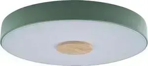 Светильник Loft IT Потолочный светодиодный Axel 10003/24 green