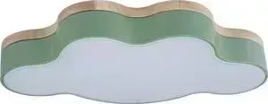 Светильник Loft IT Потолочный светодиодный Axel 10005/30 green