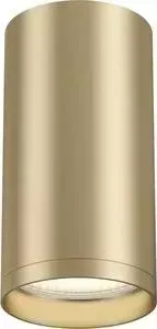 Светильник Maytoni Потолочный Focus S C052CL-01MG