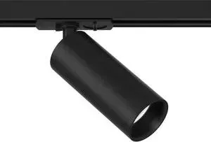 Светильник Maytoni Трековый светодиодный Track lamps TR021-1-12B4K