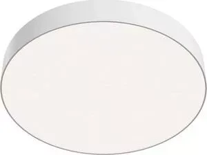 Светильник Maytoni Потолочный светодиодный Zon C032CL-L48W4K