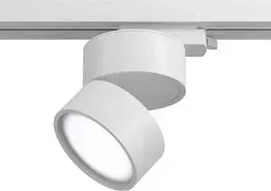 Светильник Maytoni Трековый светодиодный Track lamps TR007-1-12W4K-W