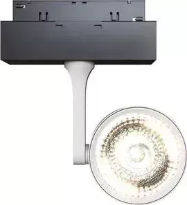 Светильник Maytoni Трековый светодиодный Track lamps TR024-2-10W3K