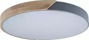 Светильник Loft IT Потолочный светодиодный Axel 10004/36 grey
