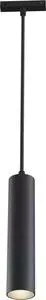 Светильник Maytoni Трековый светодиодный Track Lamps TR016-2-12W3K-B