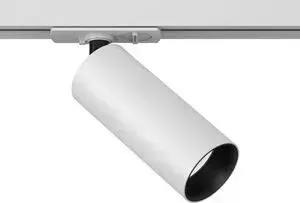 Светильник Maytoni Трековый светодиодный Track lamps TR021-1-12W4K