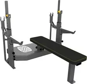 Скамья-стойка домкратная DHZ FITNESS Olimpic Bench для жима лежа со страховочными упорами