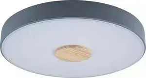 Светильник Loft IT Потолочный светодиодный Axel 10003/24 grey