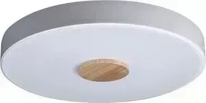 Светильник Loft IT Потолочный светодиодный Axel 10003/24 white