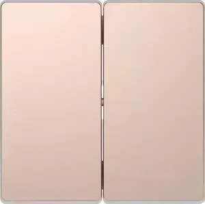 Кнопка смыва Schneider Electric двойная Merten D-Life MTN3400-6051
