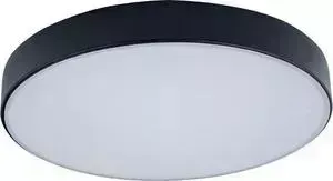 Светильник Loft IT Потолочный светодиодный Axel 10002/24 black