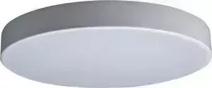 Светильник Loft IT Потолочный светодиодный Axel 10002/24 white