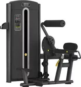 Разгибание спины Bronze Gym M05-009