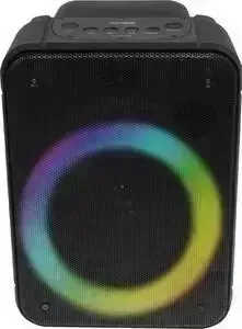 Портативная колонка TELEFUNKEN TF-PS2101 черный