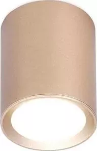 Потолочный светильник Ambrella light TN216