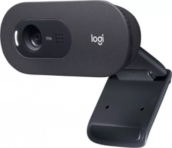 Веб камера LOGITECH WebCam C505e черный (960-001372)