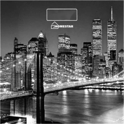 Весы напольные  Homestar HS-6001E (003845)