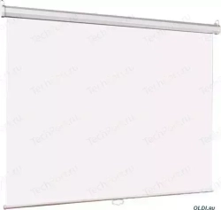 Экран LUMIEN Eco Picture LEP-100101