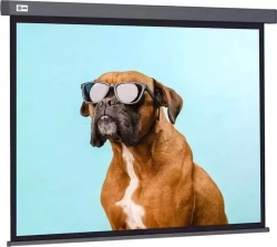 Экран для проектора CACTUS 149.4x265.7 см Wallscreen CS-PSW-149X265-SG 16:9 настенно-потолочный рулонный серый