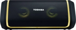 Колонка TOSHIBA TY-WSP150
