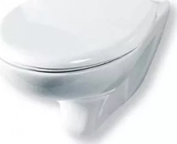 Унитаз подвесной Rosa Элеганс белый с микролифтом (4620008195155)